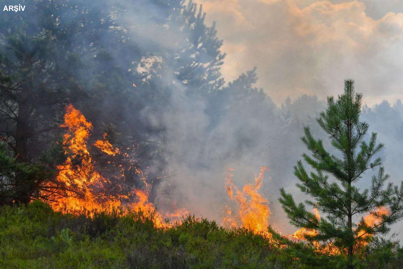  Samsun'da orman yangınına 4 noktadan müdahale ediliyor